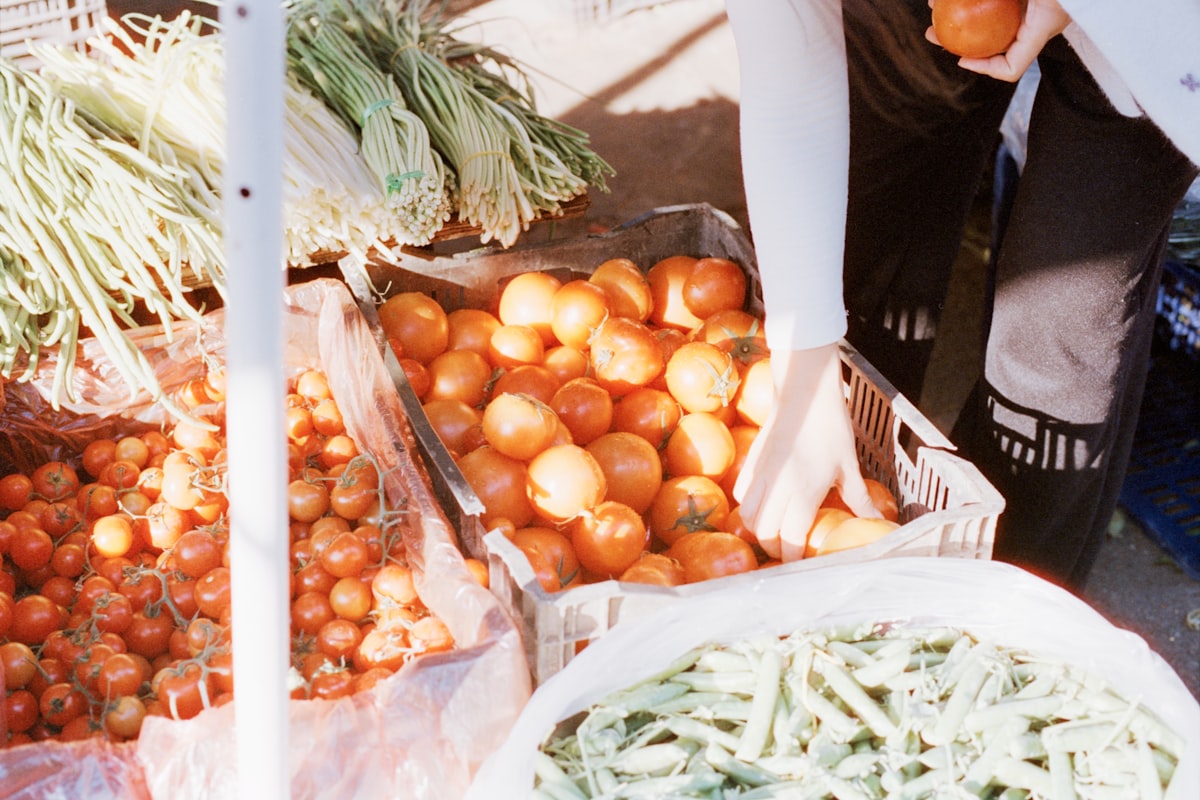 Guida alla nutrizione personalizzata