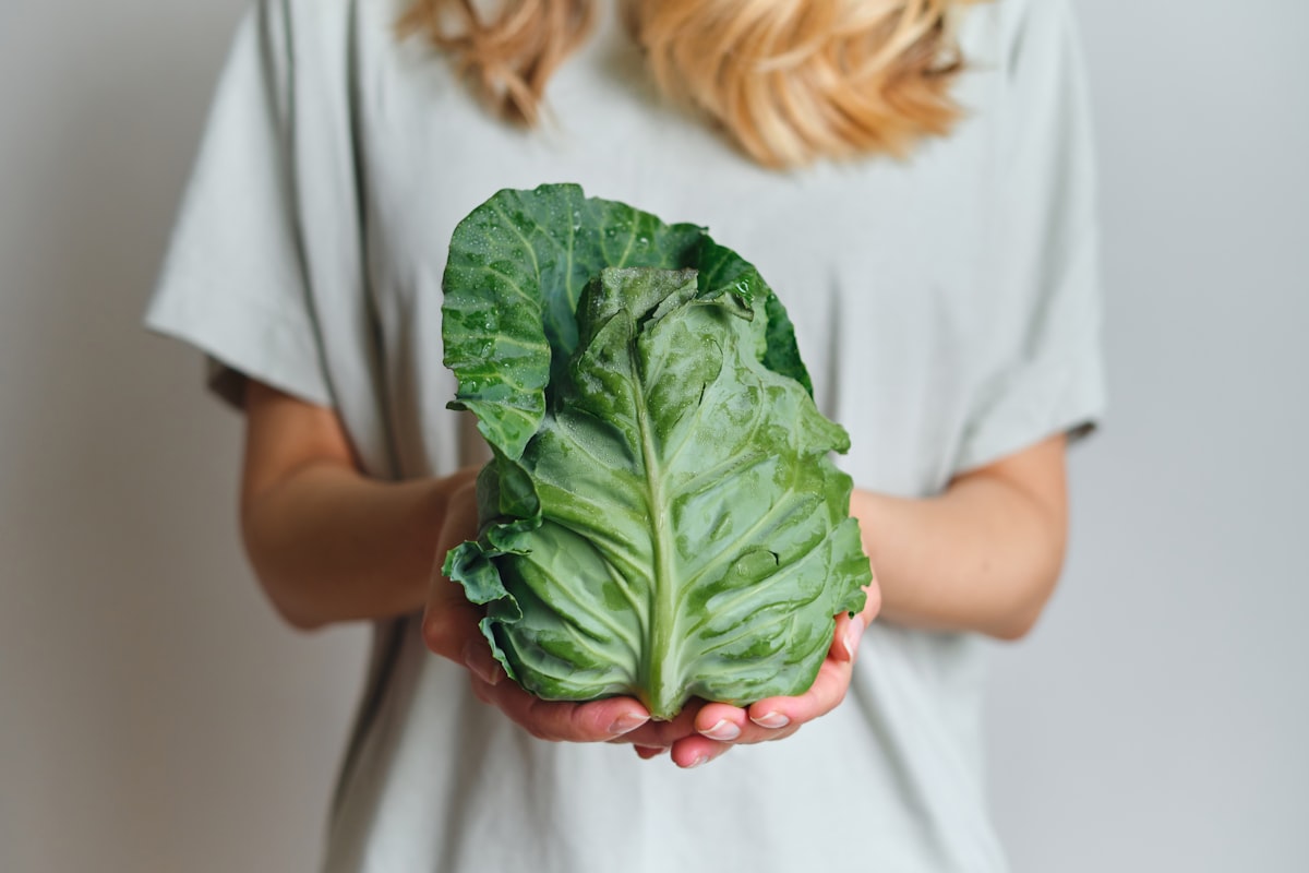 Lettore soddisfatto Dietbalancevital